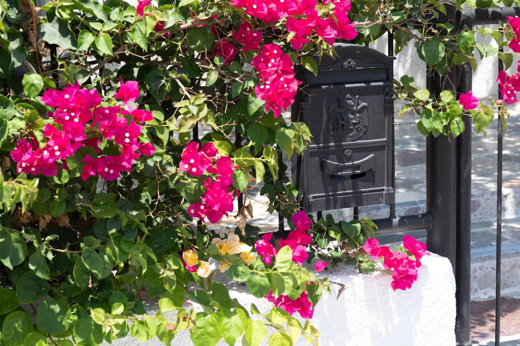 Limassol Akrotiri Beach Vine Cottage A Екстериор снимка